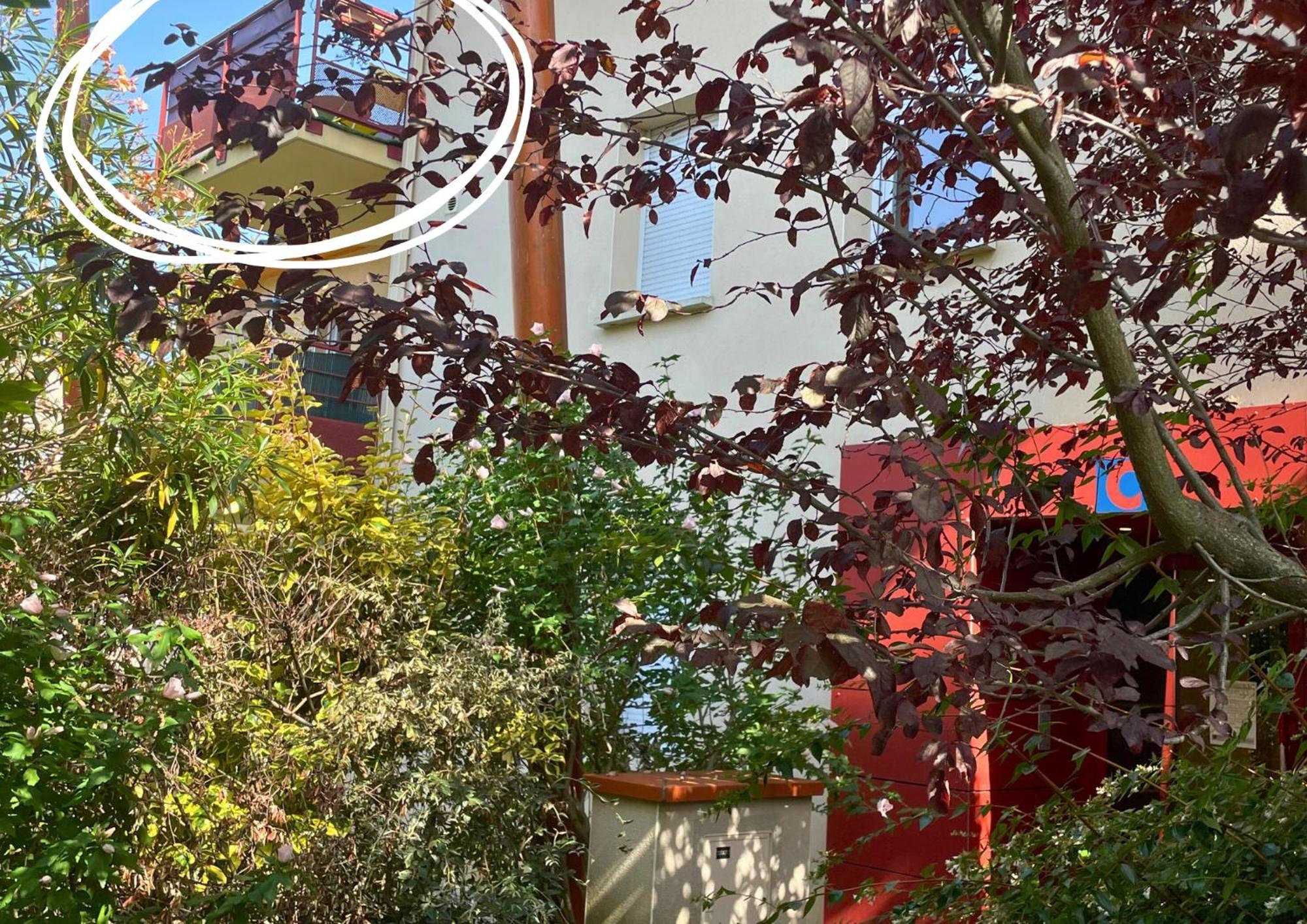 Le Jungle - Parking Et Wifi Gratuit - Balcon - Alexa Apartment