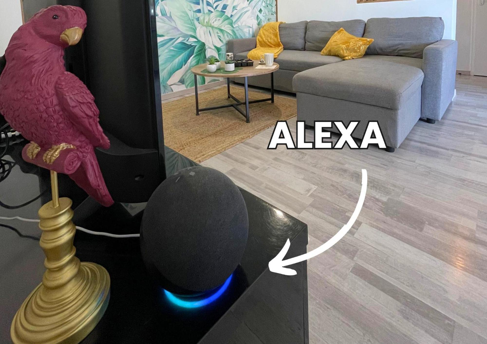 Le Jungle - Parking Et Wifi Gratuit - Balcon - Alexa Saint-Alban (Haute-Garonne)